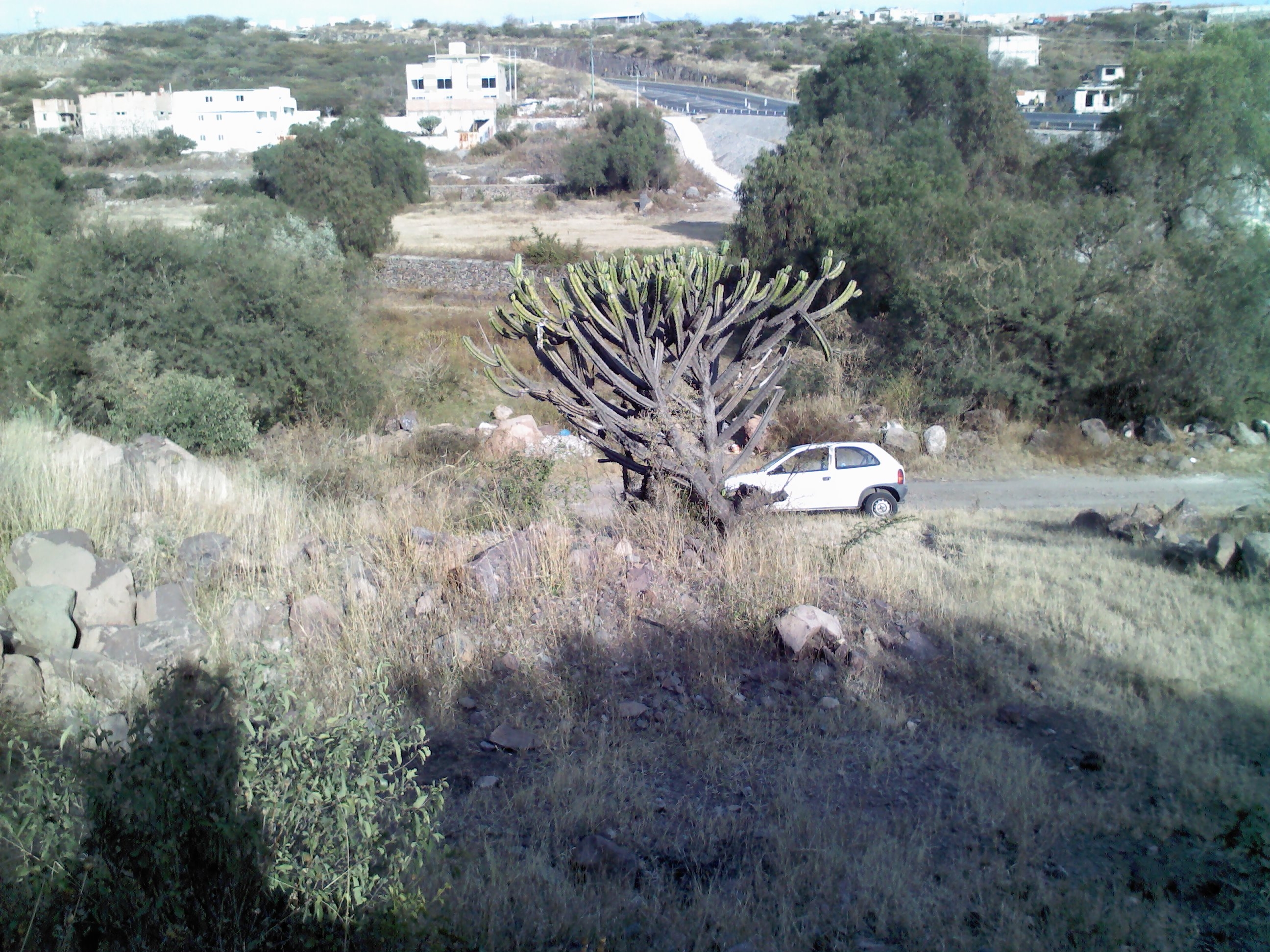 VENDO TERRENO ATRAS DEL PUEBLO DE JURICA, RUSTICO.